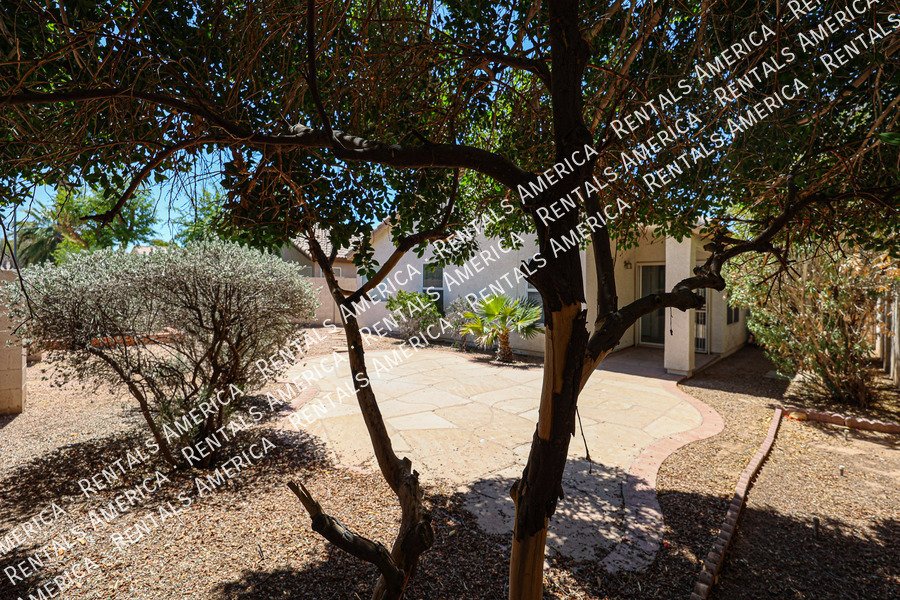 Beautiful 3 bedroom 2 bathroom home in Goodyear!! property image