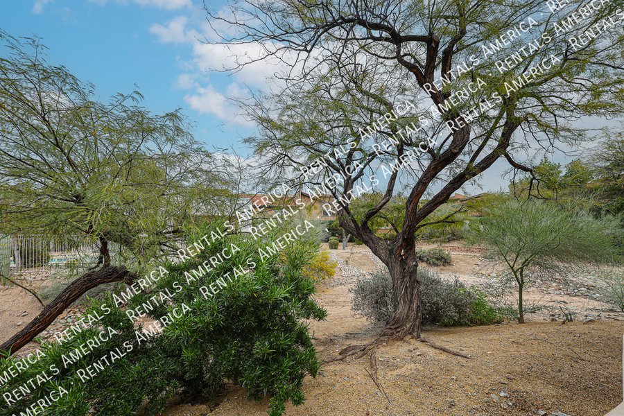 Available Now 2 Bed Plus Den 2 Bath Condo property image