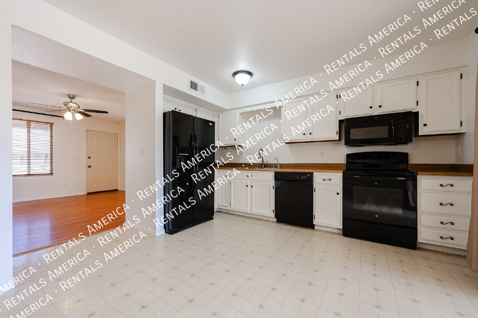 719 W Palomino Dr property image