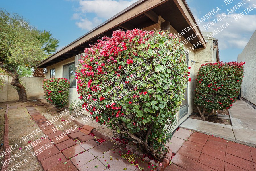 Great Tempe Location!! property image