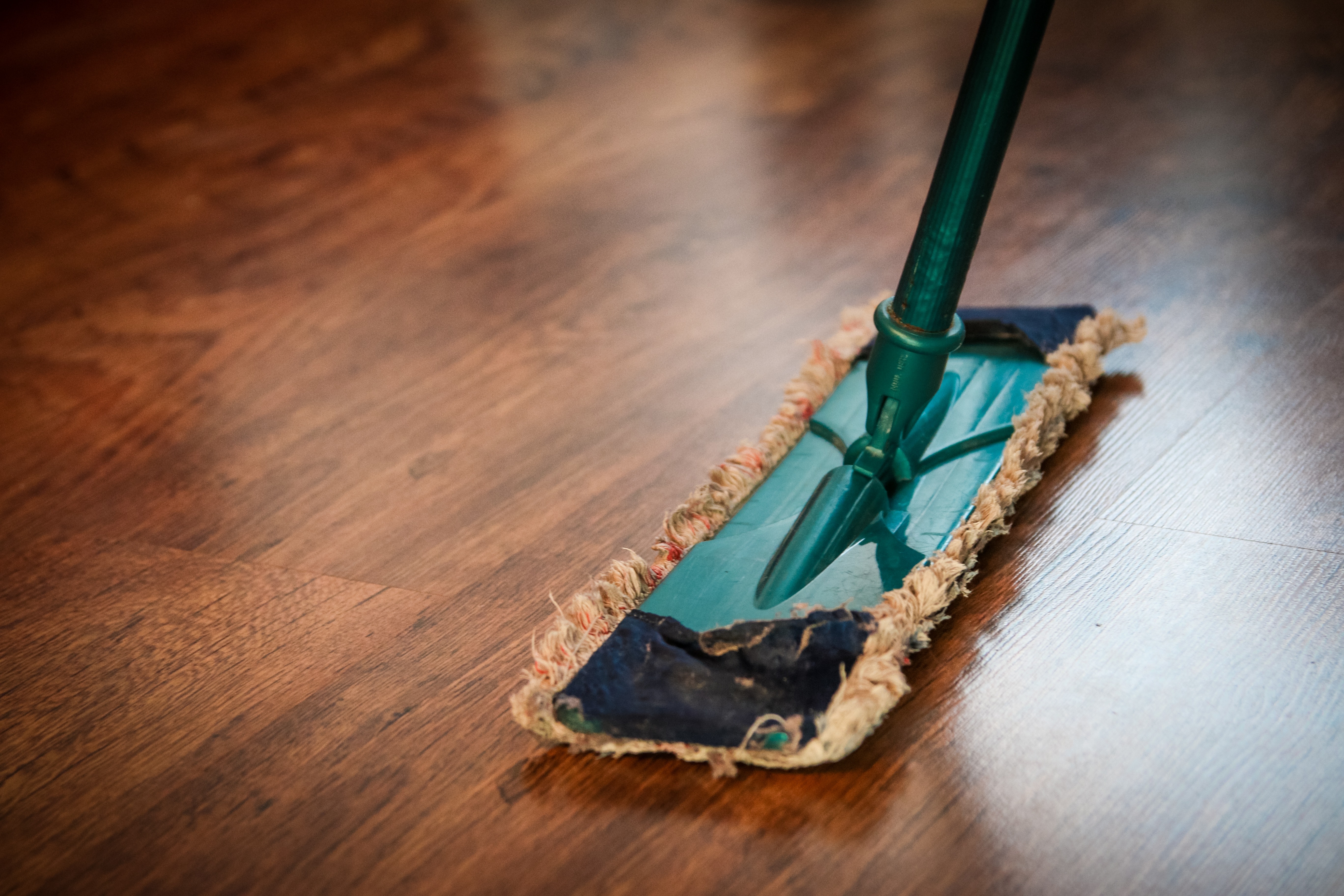 Rental Property Clean-Up