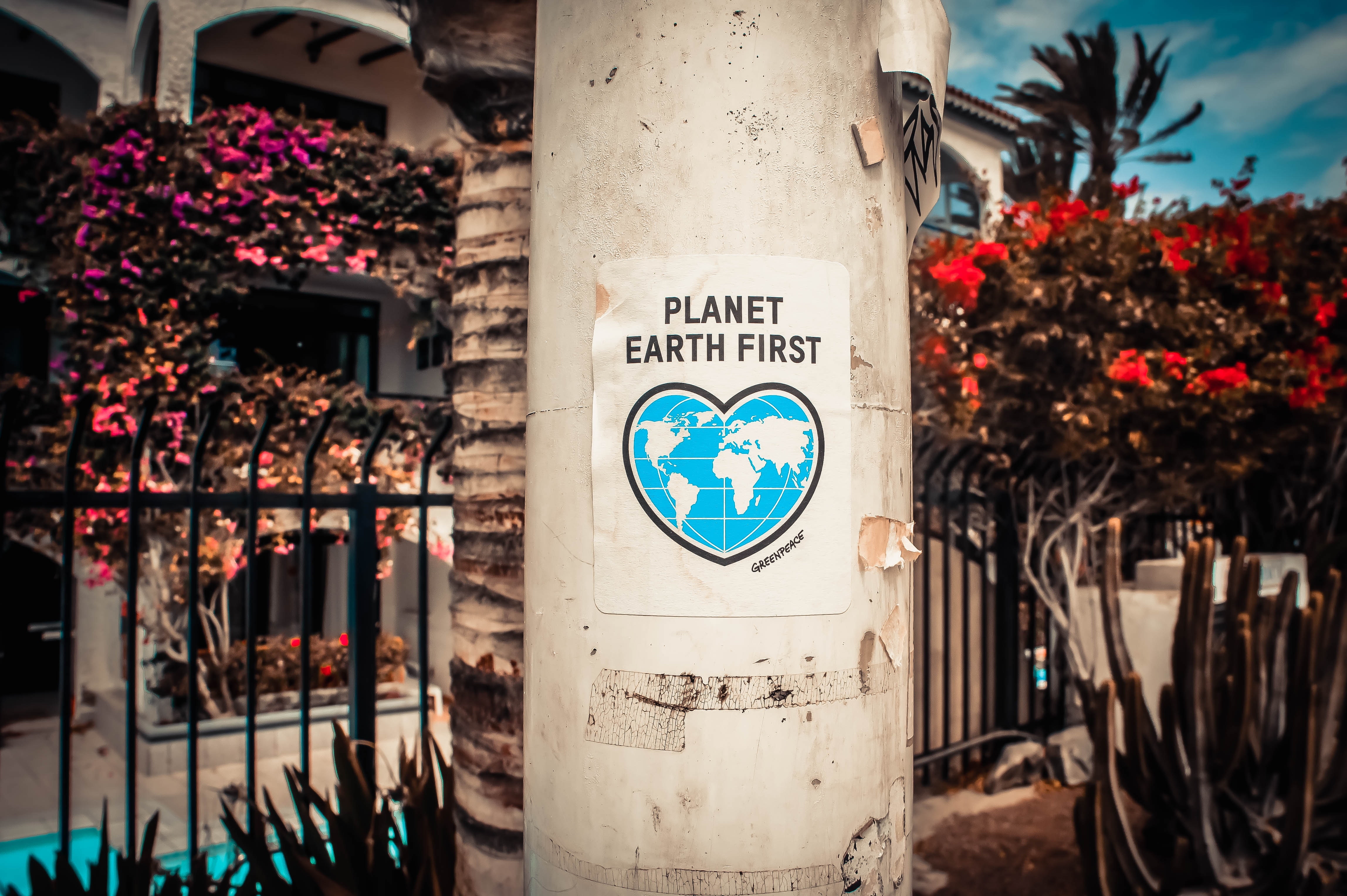 Eco-Friendly Rentals